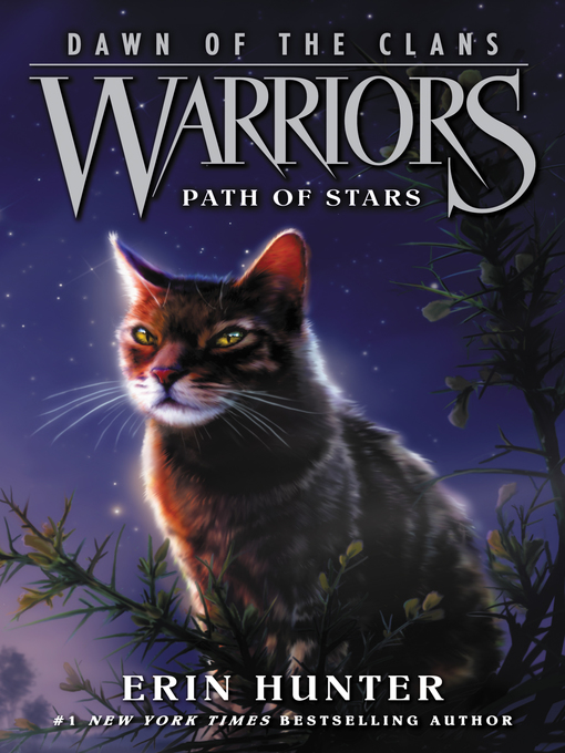 Title details for Path of Stars by Erin Hunter - Wait list